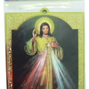 Plaquette Dorée 10x14cm - CHRIST MISERICORDIEUX