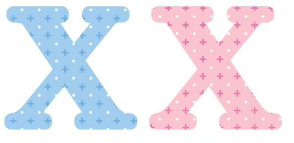 Lettre X x2pcs. Hauteur 5.5cm