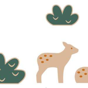 Coffret Biche et Faon + boite craft 14x15.5cm
