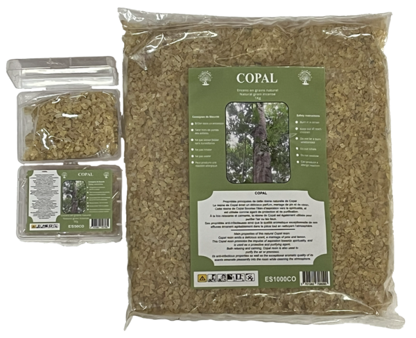 Encens en Grains Copal - Boite transparente de 50gr